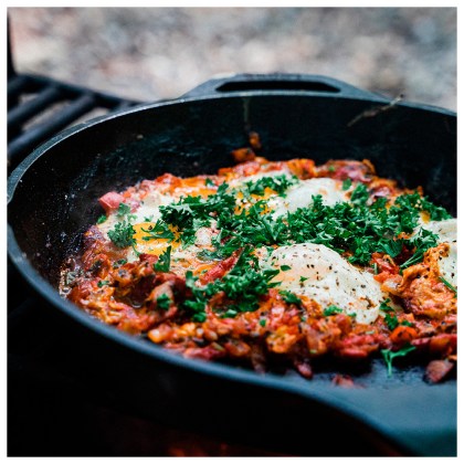 THERMOGATZ Cast Iron Skillet FTG-3032S