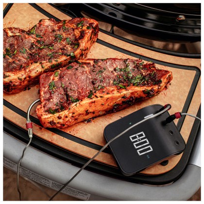 WEBER GAS BBQ TRAVELER